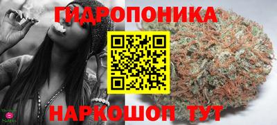 тгк Ставрополь
