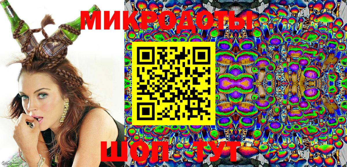 Псилоцибиновые грибы Psilocybe Рыбинск